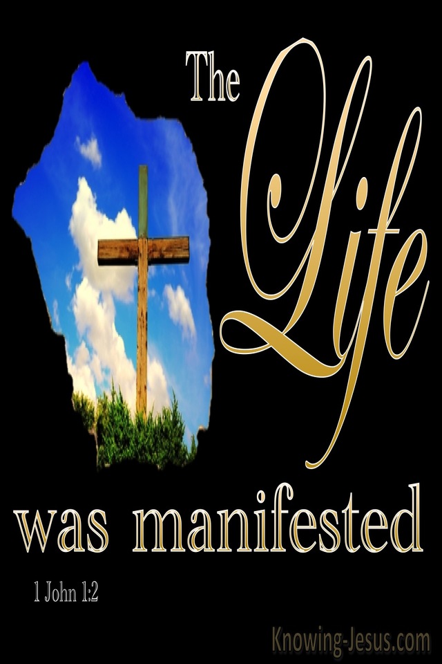 1 John 1:2 We Have Seen Testify And Proclaim Eternal Life (black)